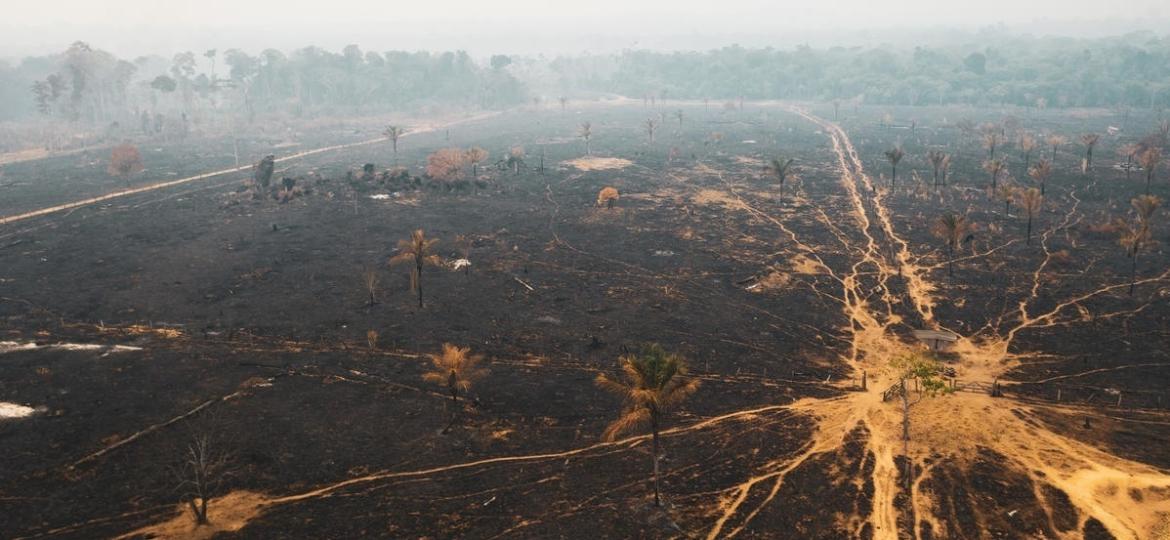 IMEDIATAS: MPF recomenda ações contra o desmatamento e as queimadas