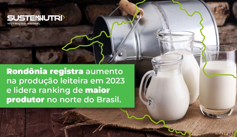 AGROPECUÁRIA: Rondônia registra aumento na produção leiteira em 2023