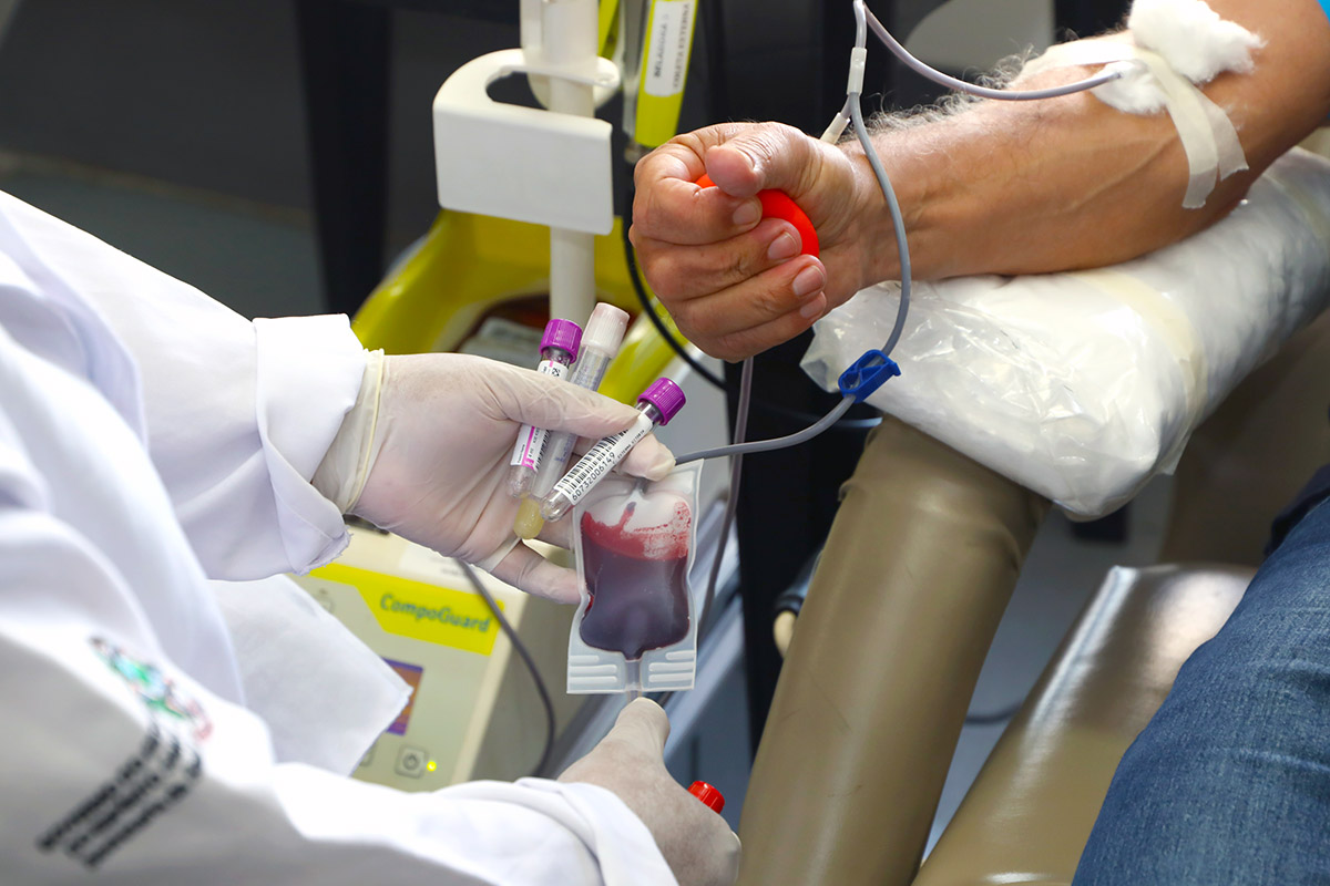 APLICATIVO: App que incentiva doação de sangue já pode ser baixado em celulares