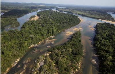 Delfim Netto recebeu propina por Belo Monte diz executivo da Andrade