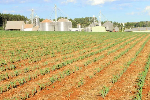 Contratação de crédito rural cresce 12,4% e alcança R$ 92,1 bilhões