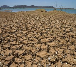 Nordeste enfrenta a maior sequência de anos com seca extrema já registrada