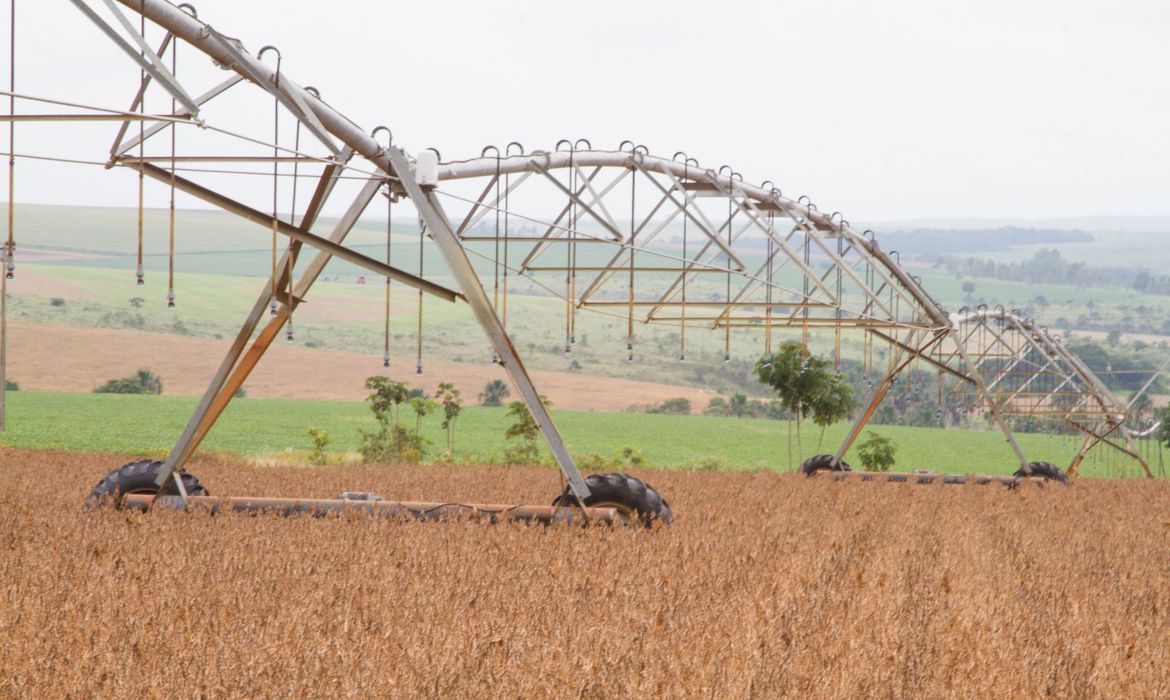 ECONOMIA: IBGE prevê safra recorde de grãos, com alta de 2,2% em 2020