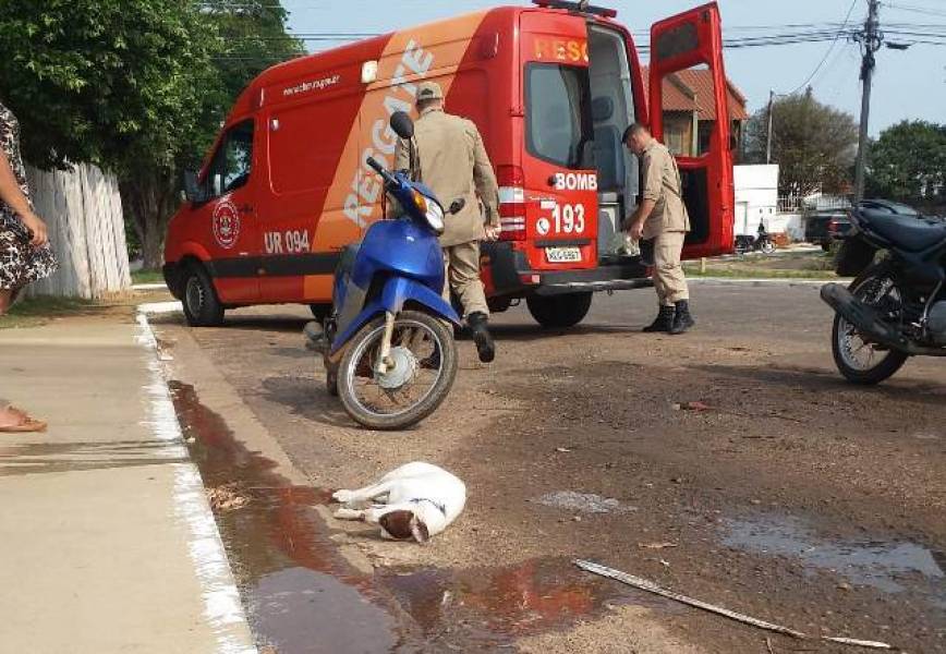 SOCORRO: Bombeiros são acionados após cão ser arrastado vários metros por motocicleta