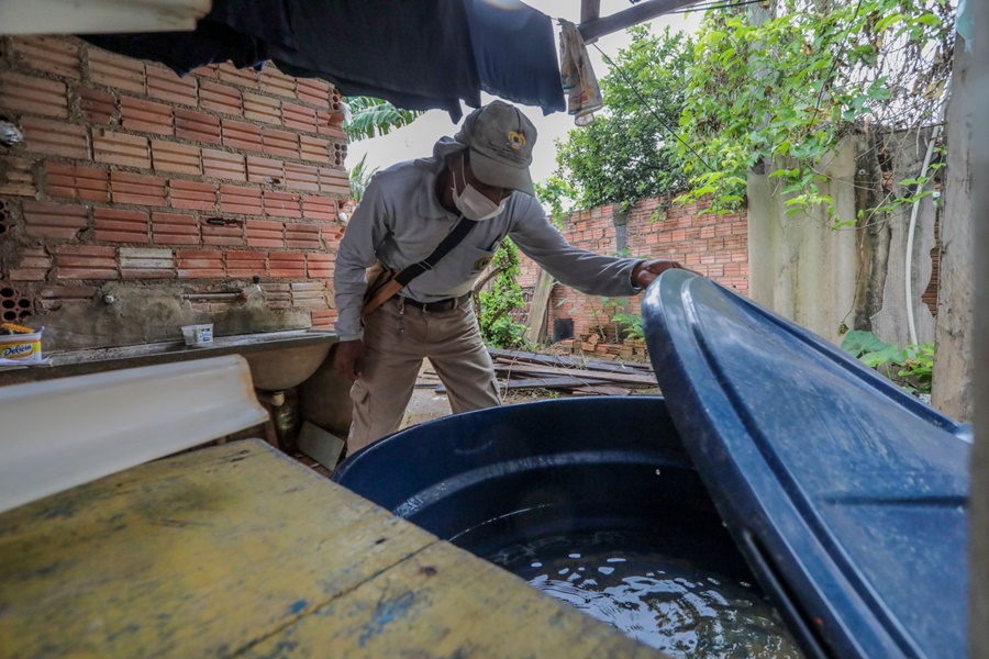 PERIGO: Aumento nos casos de dengue reforça a atenção durante período chuvoso