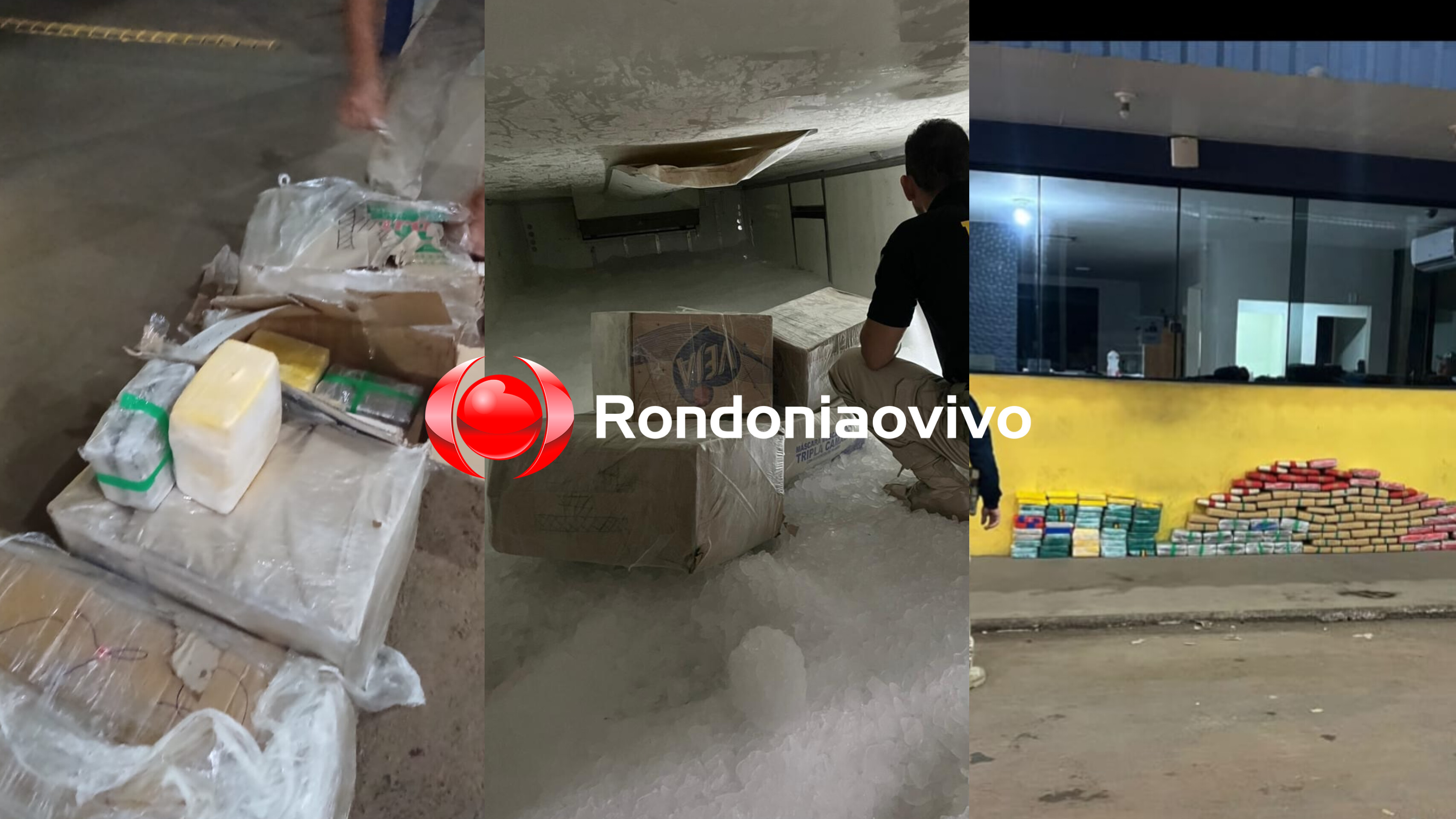 URGENTE: Denarc e PRF prendem traficante com quase 180 kg de droga em caminhão de peixe