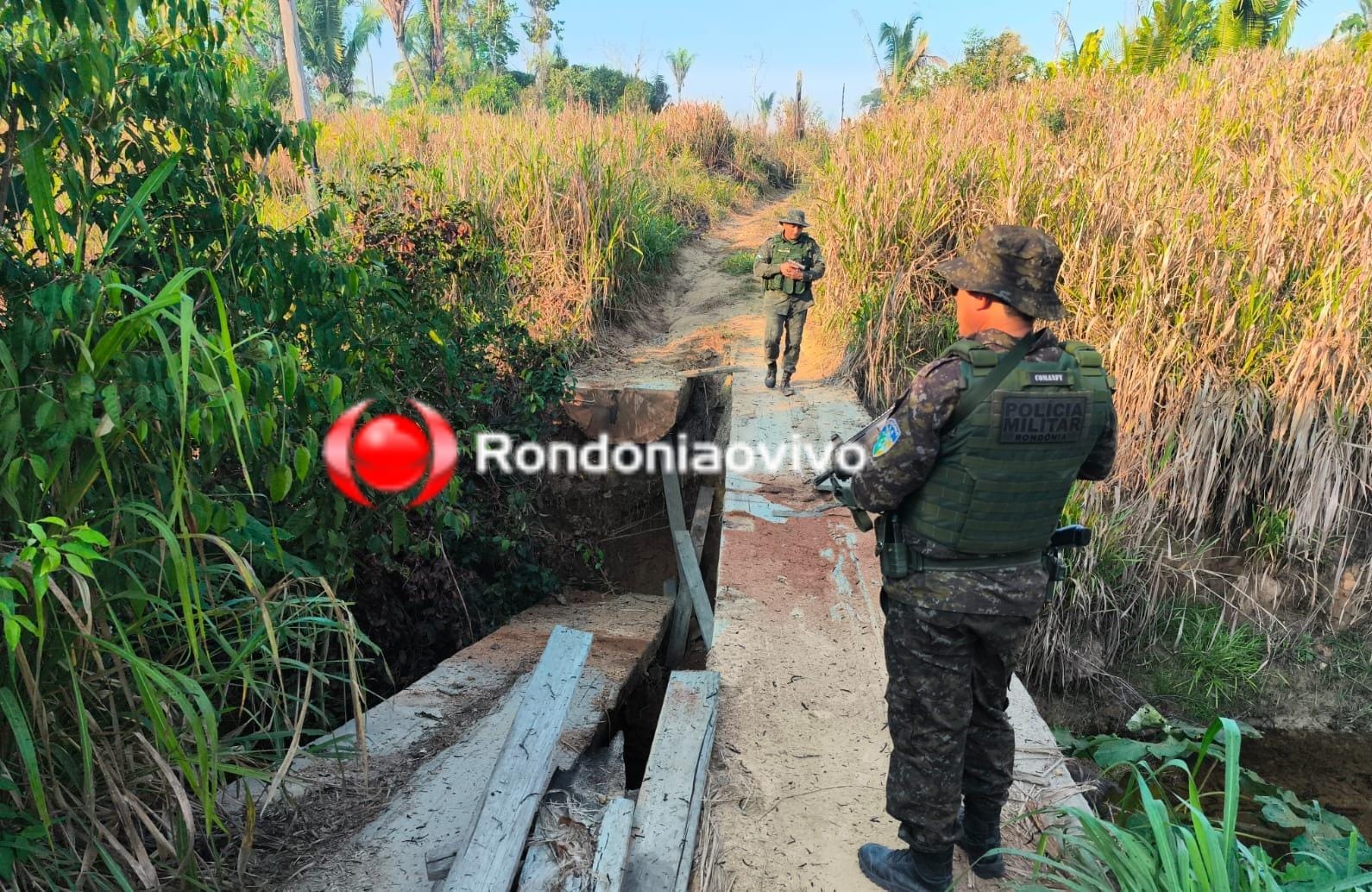 ARMADILHAS: Pontes são serradas por criminosoos incendiários no Parque Guajará