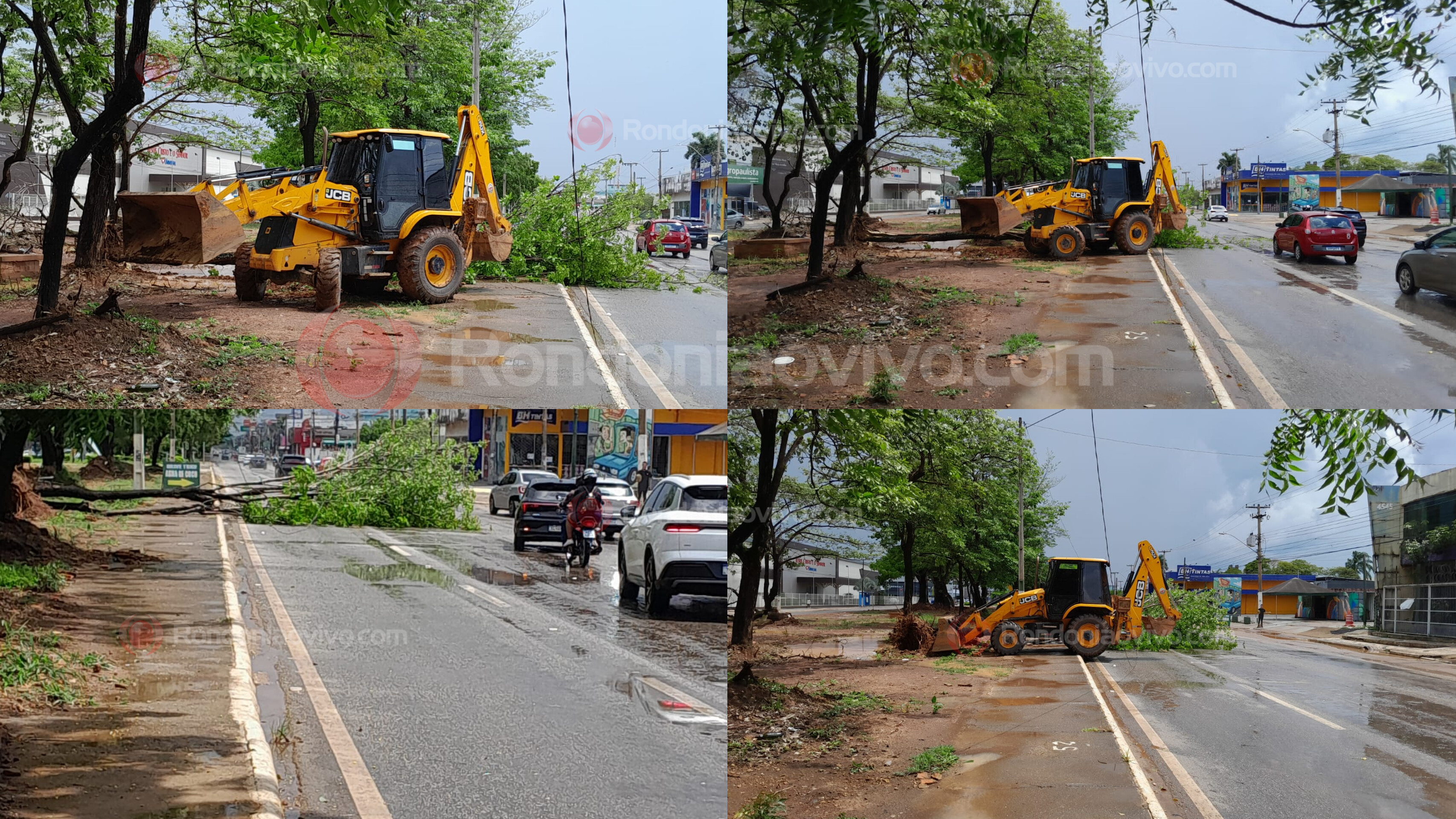 VENTANIA: Árvore desaba na Avenida Jorge Teixeira durante temporal 