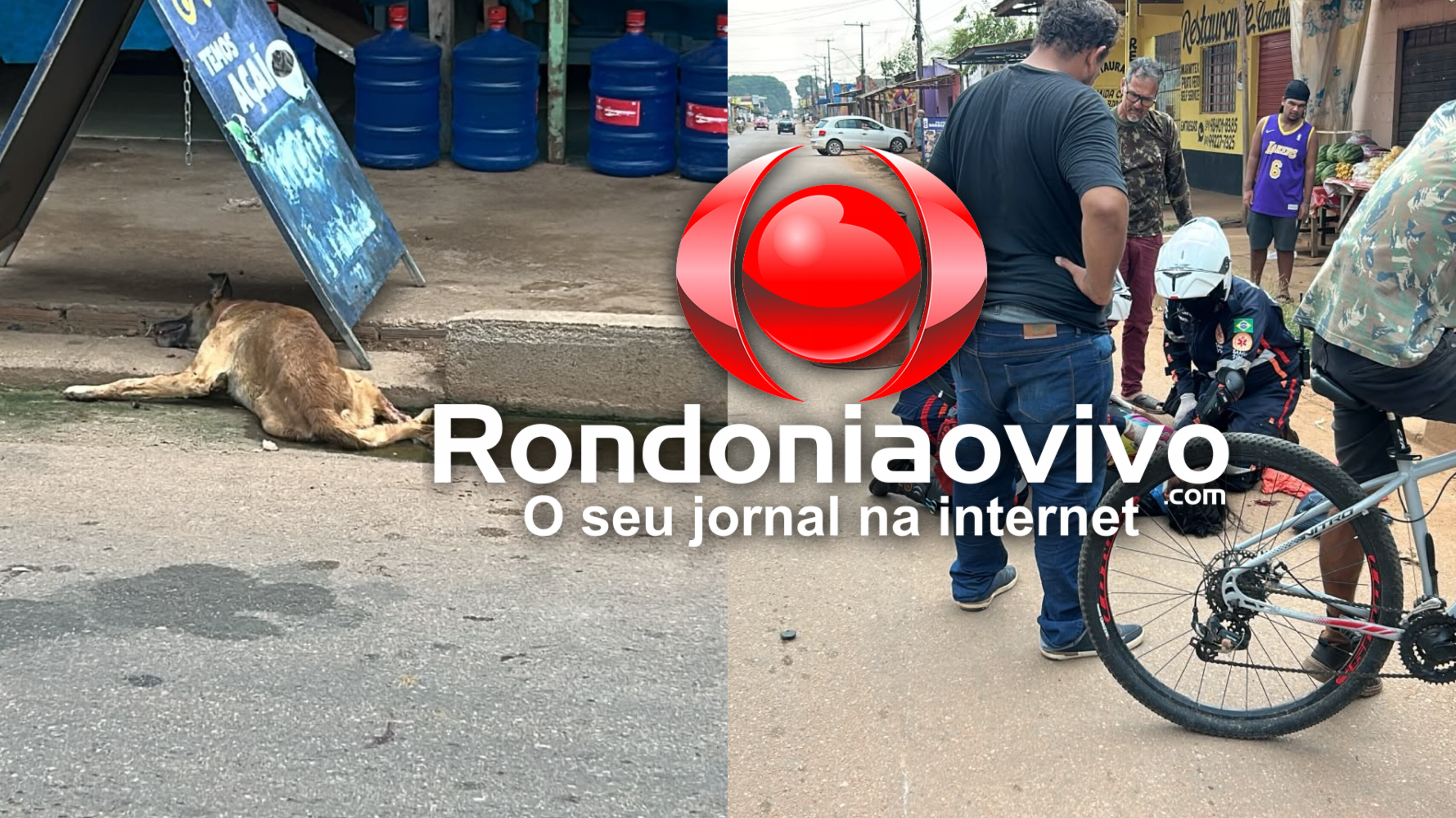 VÍDEO: Mulher fica em estado grave após moto atropelar cachorro
