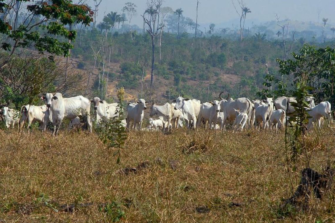 RURAL: Normas da declaração do ITR são publicadas no Diário Oficial