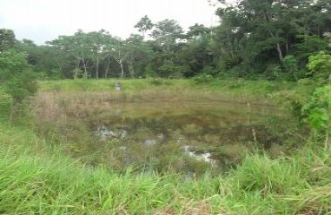 Promotor de Justiça diz que construção do aterro sanitário deve obedecer legislação ambiental