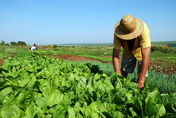 NA CAPITAL: MPF realiza na segunda-feira, 12, audiência pública sobre Reforma Agrária