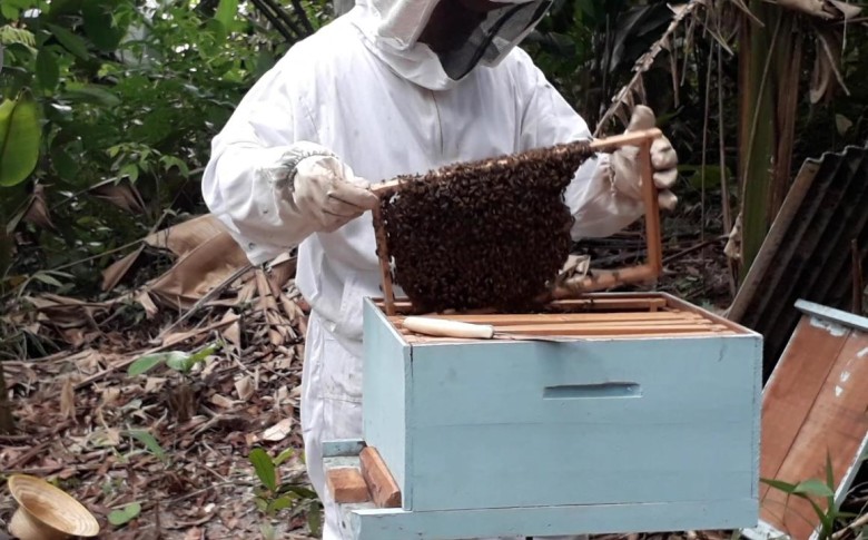 APICULTURA: Semagric intensifica programa para incentivar produção de mel