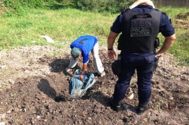 Polícia checa possível corpo humano em cova rasa e encontra cavalo enterrado