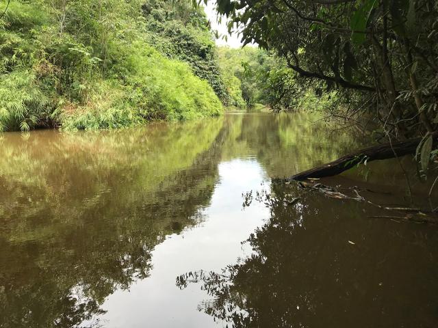 SALTO PARA A MORTE: Jovem morre após pular de 