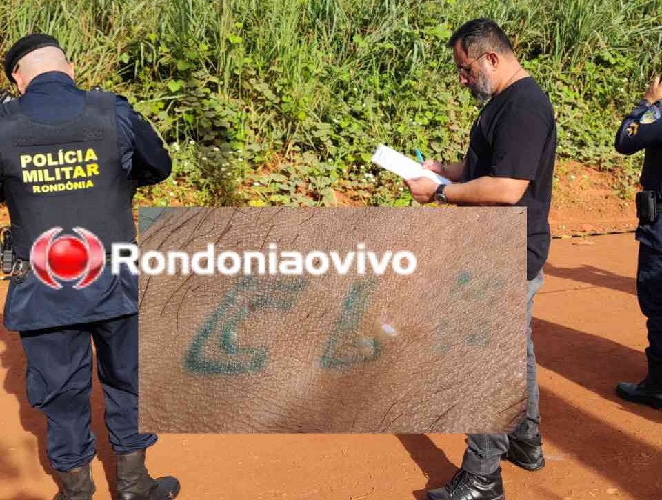 SEM IDENTIFICAÇÃO: Polícia divulga foto de tatuagem de homem morto com vários tiros 