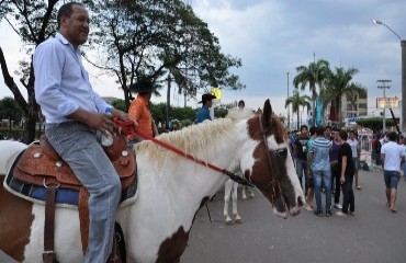 ARIQUEMES - Cavaleiros e Amazonas participam de cavalgada