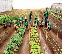 CAPACITAÇÃO: Sejus realiza projeto de reinserção social para apenados