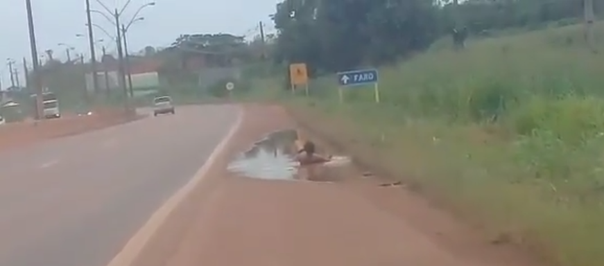 'SEXTOU': Homem é flagrado tomando banho em poça de lama na BR-364