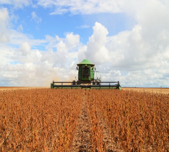 Prazo para produtores cadastrarem lavoura encerra na sexta-feira, dia 30