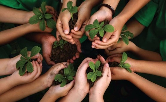 RIOTERRA promove ações na semana do meio ambiente
