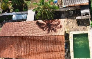 DENGUE – Piscina vira criadouro de mosquito no bairro alphavile e moradores solicitam  presença urgente de agentes de saúde – Fotos