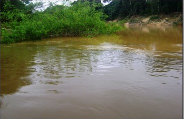 Peculiaridades brasivianas do Rio Mamu – Por Francisco Marquelino Santana.