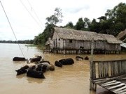 AM tem sete municípios em Alerta, oito em Emergência e um em Calamidade Pública