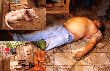 Homem morre de infarto depois de tentar separar briga de pit-bulls; polícia encontra abatedouro clandestino de cachorros no quintal - Fotos