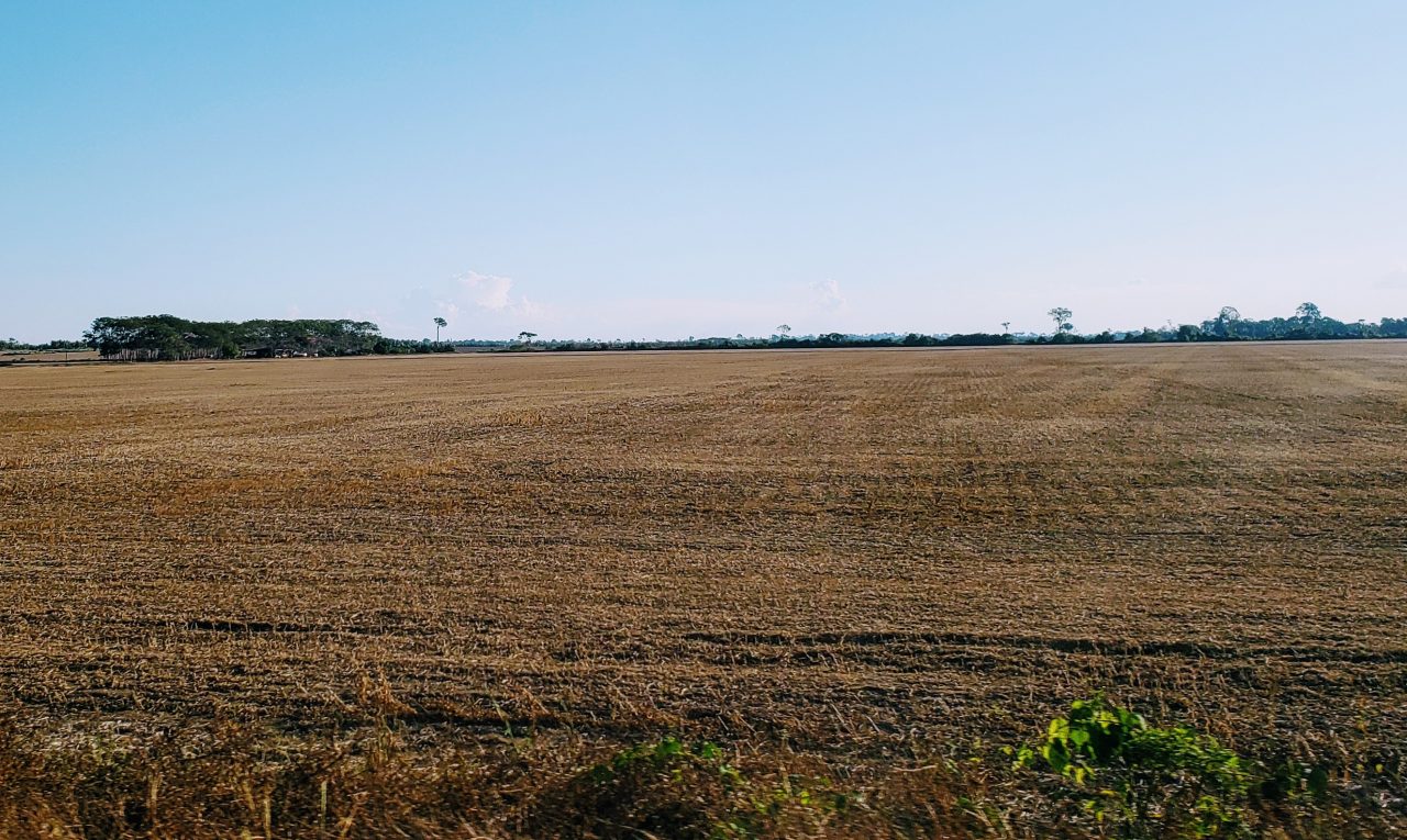 LAVOURA: Até 15 de setembro fica proibido o plantio e cultivo de soja em Rondônia