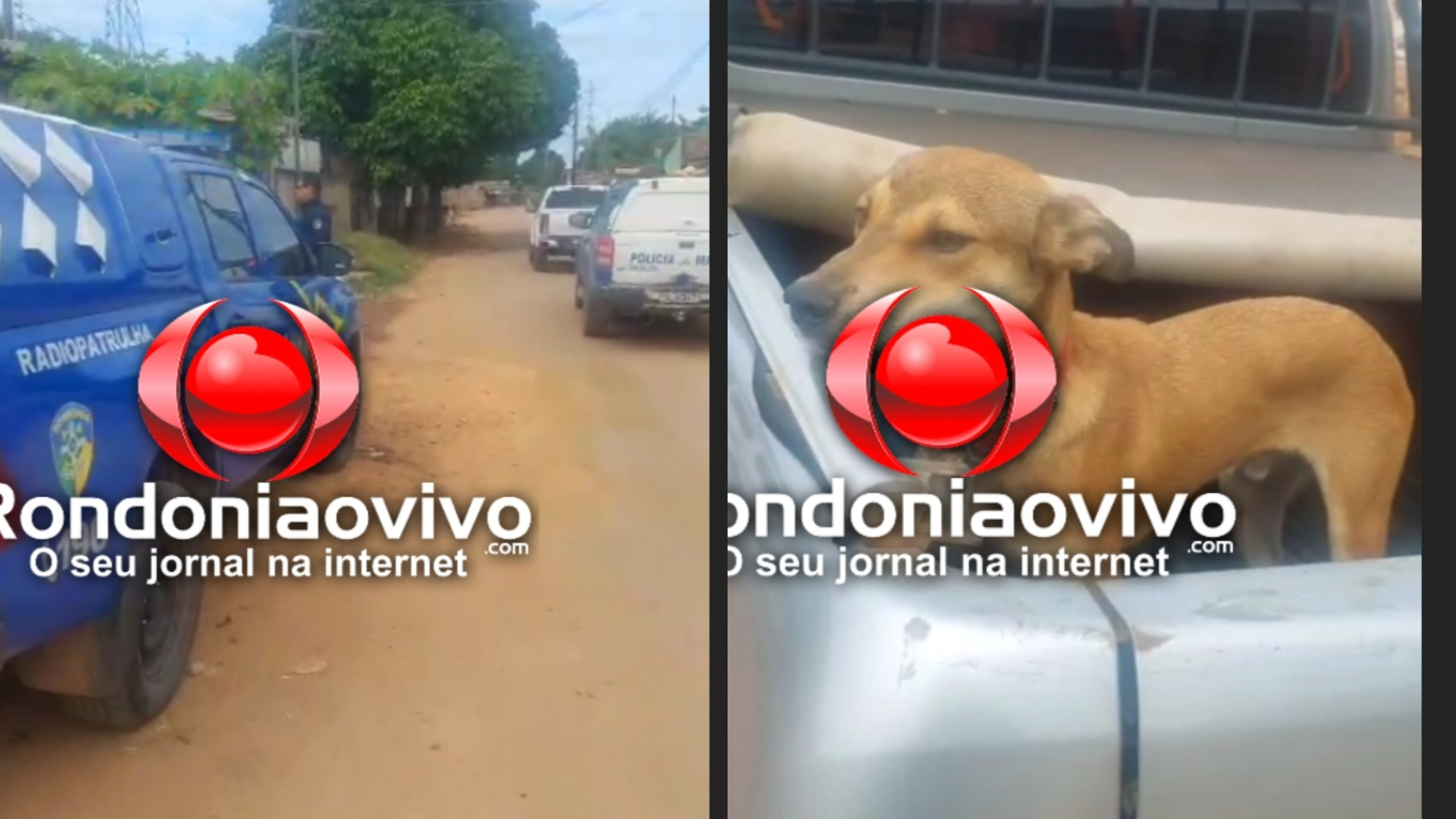 VÍDEO: PM age rápido e prende homem que agrediu cachorro na zona Leste