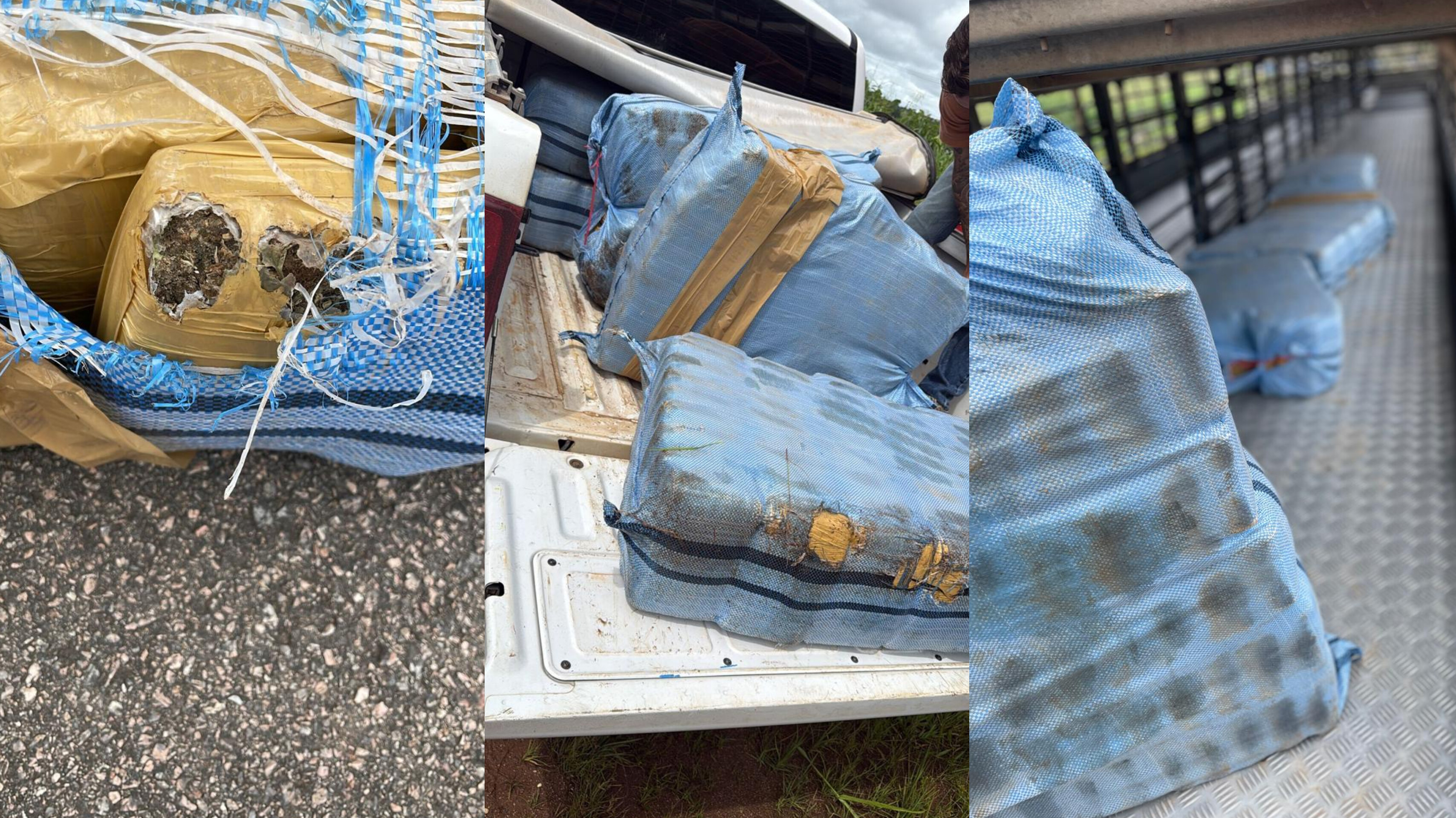 NA BR-364: PF prende motorista de caminhão com 261 quilos de skunk