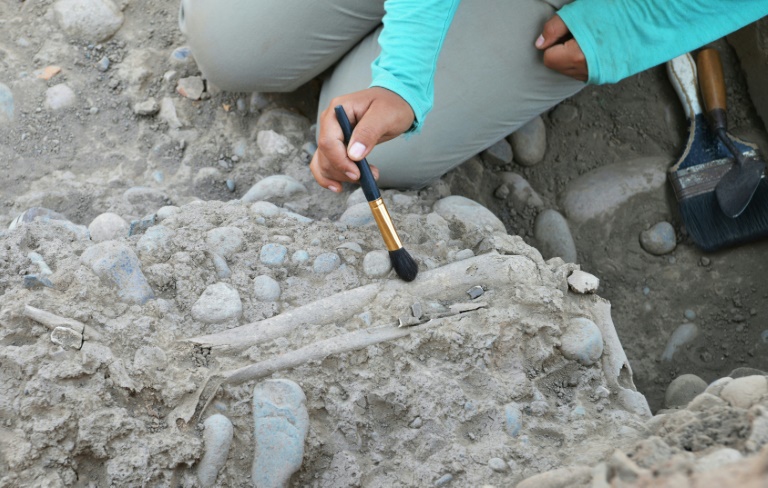 Arqueólogos encontram no Peru sítio do maior sacrifício de crianças do mundo