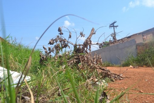 Com lixo e mato rua fica intransitável em bairro da zona leste