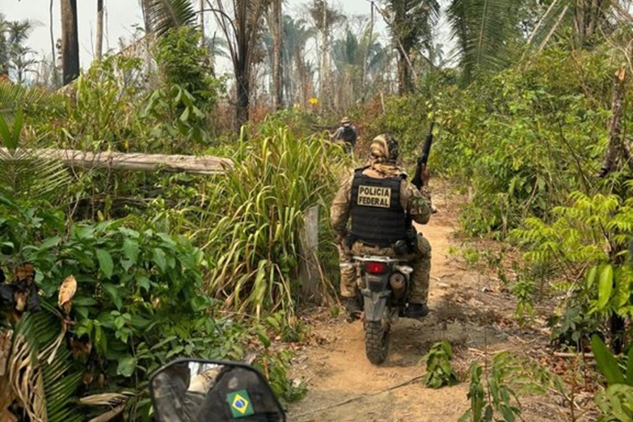 ULTIMATO: PF deflagra operação para combate a crimes ambientais