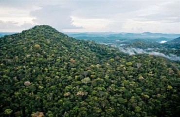 AUDIÊNCIAS PÚBLICAS - Moradores devem discutir concessão florestal de 112 mil hectares na Flona de Jacundá