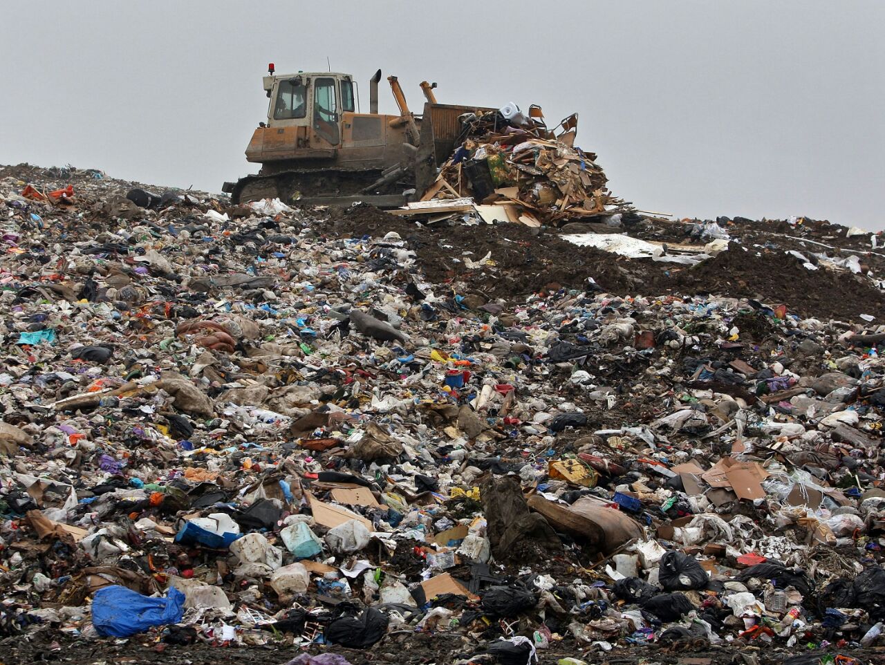 LIXO URBANO: Saiba quais são as suas consequências para o ambiente