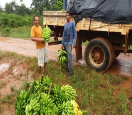 Semagric já transporta 60 ton de alimentos por semana