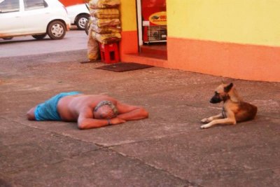 Jornalista registra imagens de cachorro “velando” o sono de seu dono em calçada de Porto Velho