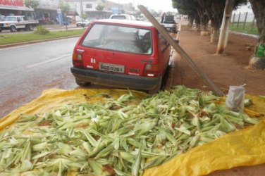 VERGONHA - Agricultor é multado por vender milho na rua