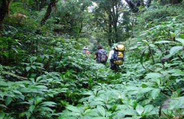 VILHENA – Turistas brasilienses saem para pescar e ficam 12 dias perdidos na mata