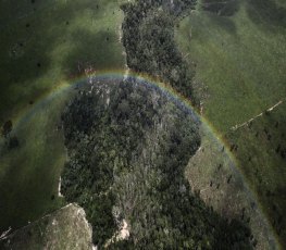 Brasil pode não atingir objetivos sustentáveis da ONU