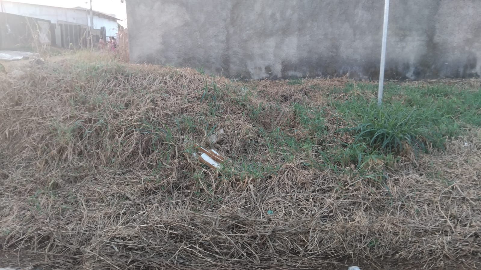 GEDEÃO NEGREIROS: Parlamentar solicita roçagem urgente em cruzamento crítico no bairro Novo Horizonte