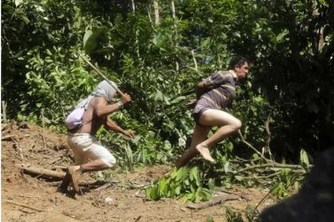 Índios Ka'apor promovem caça a madeireiros no Maranhão