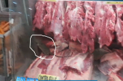 Cliente flagra rato andando em carne de açougue - VÍDEO