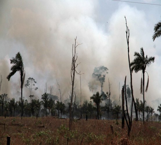 Corpo de Bombeiros alerta sobre focos de queimadas