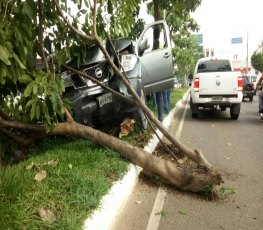 MAL SÚBITO? Caminhonete com bebê colide violentamente em árvore na capital