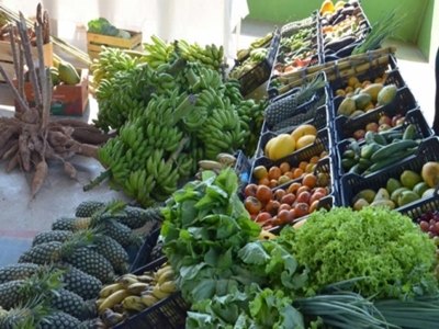 Prefeitura lança Programa de Aquisição de Alimentos 2016