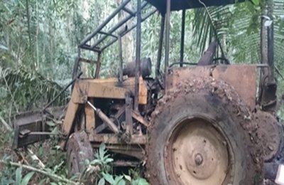 Polícia Ambiental prende homem extraindo madeira 