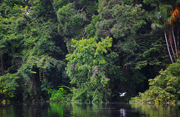 AMAZÔNIA LEGAL: WWF alerta para processos de exploração mineral em áreas protegidas